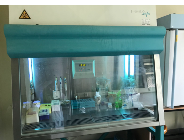 Laminer Kabin-Fotoğraf